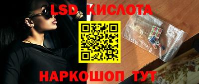 прущие грибы Абакан