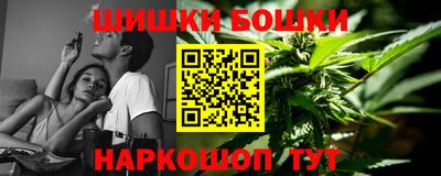 прущие грибы Абакан