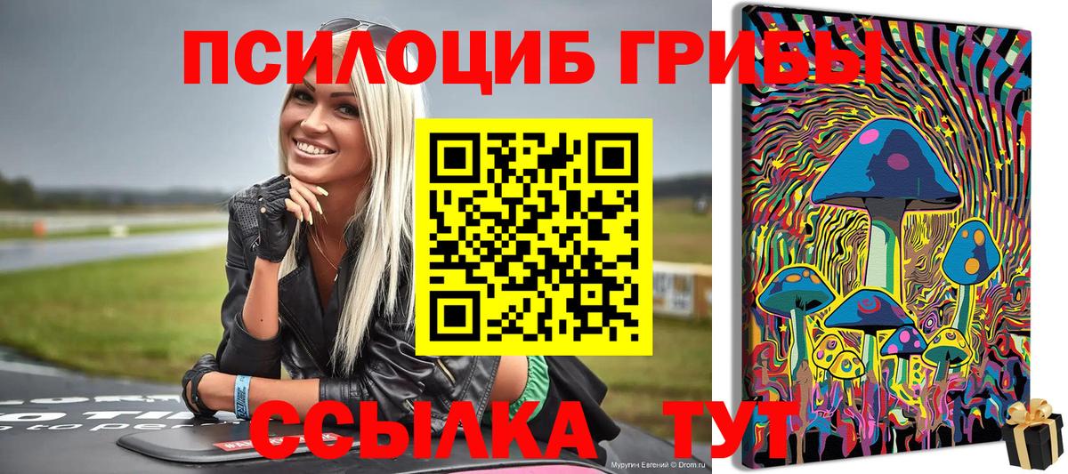 Алексин  Галлюциногенные грибы мухоморы  Вход с VPN  Псилоцибиновые грибы Psilocybe 